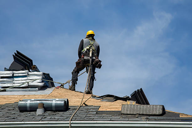 Professional Roof Repair technician working in Hebron, IL
